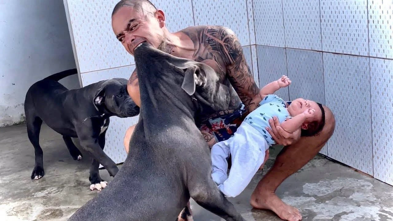 Hombre con un bebé junto a varios perros en una imagen viral